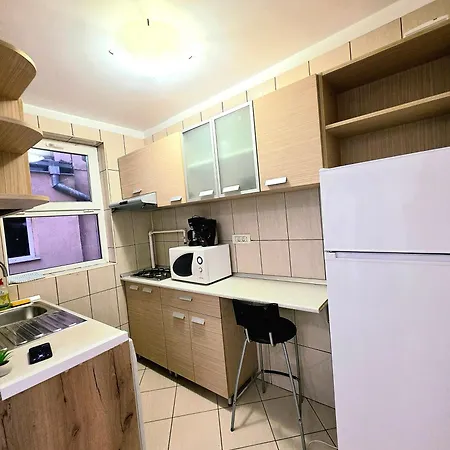 65 - Jewel Of Calea Victoriei - Cozy Flat 1br Appartement *